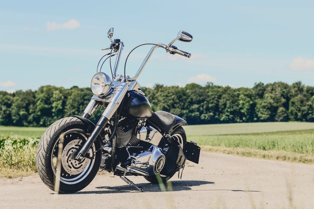 Harley & Cruiser